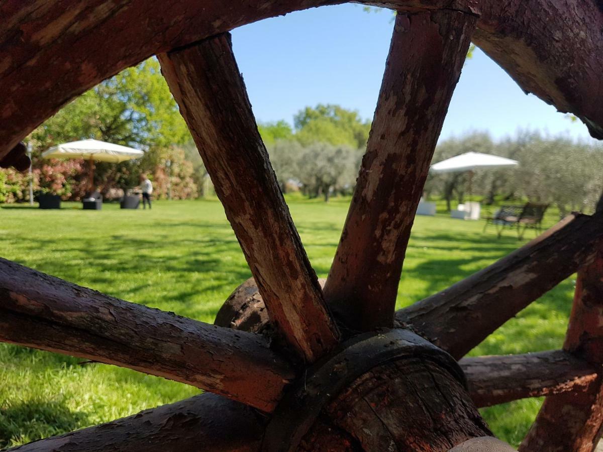 Il Vecchio Gelso - Agriturismo Rimini Montefiore Conca Villa Exterior photo