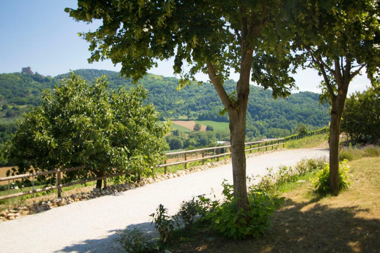 Il Vecchio Gelso - Agriturismo Rimini Montefiore Conca Villa Exterior photo