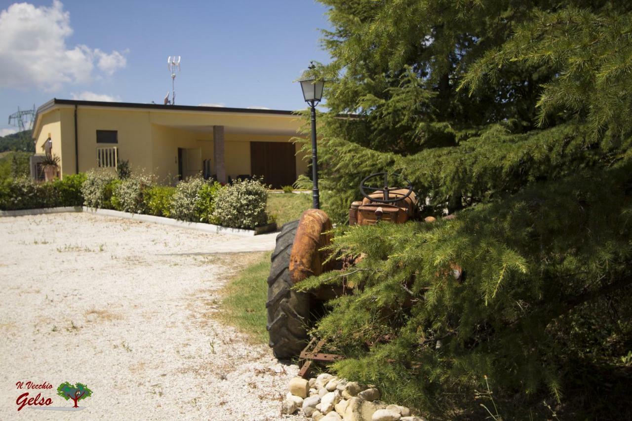 Il Vecchio Gelso - Agriturismo Rimini Montefiore Conca Villa Exterior photo
