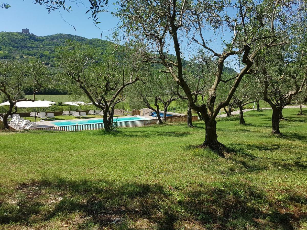 Il Vecchio Gelso - Agriturismo Rimini Montefiore Conca Villa Exterior photo