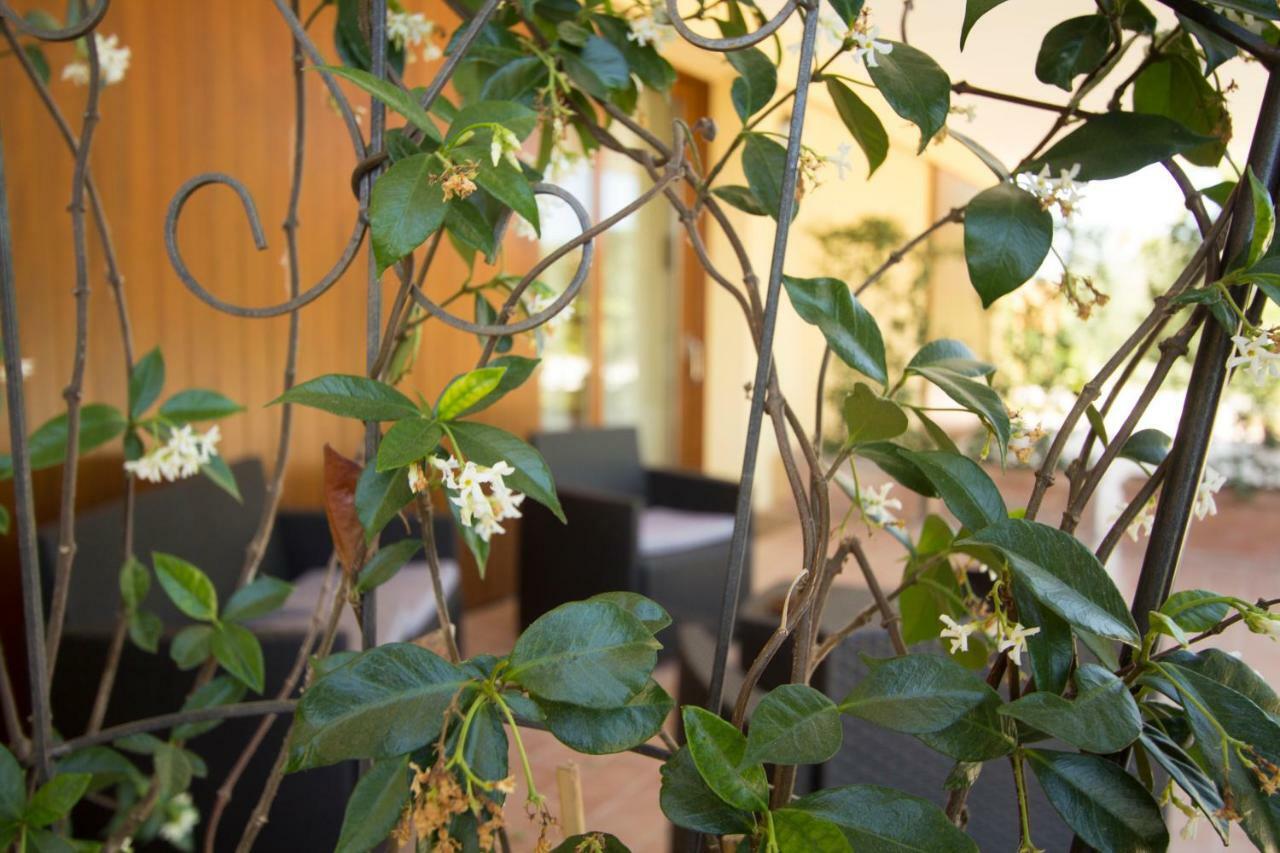 Il Vecchio Gelso - Agriturismo Rimini Montefiore Conca Villa Exterior photo